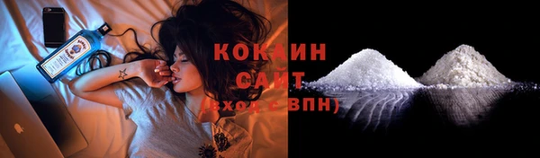 индика Куйбышев