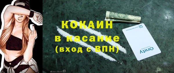 индика Куйбышев