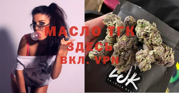 индика Куйбышев