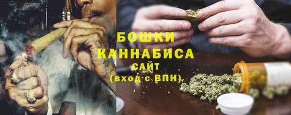 гидра Корсаков
