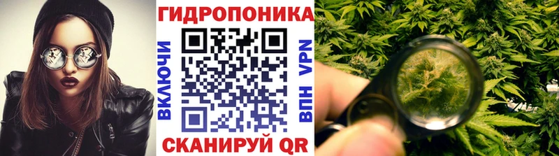 Бошки Шишки индика  Невельск 